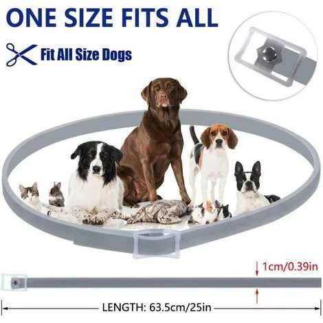 Collier Anti-Puces Et Anti-Tiques Pour Chiens Et Chats Efficacité 8mois Contre Les Puces Et Les Tiques Collier Résistant à L’Eau, Formule Naturelle Et Ajustable(1 Pcs,63CM, Gris) 56Vingt 2 Collier Anti-Puces Et Anti-Tiques Pour Chiens Et Chats Efficacité 8mois Contre Les Puces Et Les Tiques Collier Résistant à L’Eau, Formule Naturelle Et Ajustable(1 Pcs,63CM, Gris) 56Vingt – Image 2