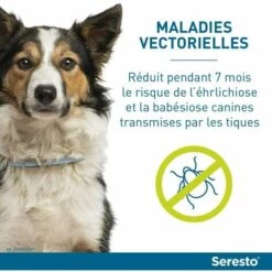 Chien – Collier Anti-Puces Et Anti-Tiques Pour Grands Chiens 8KG Et Plus 56Vingt 9 Chien – Collier Anti-Puces Et Anti-Tiques Pour Grands Chiens 8KG Et Plus 56Vingt -Anti-puces, anti-parasitaires et soins pour chien Soldes 64940818 5