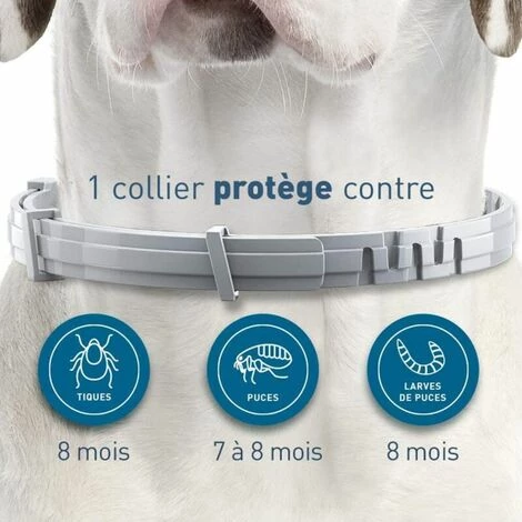 QERSTA Chien – Collier Anti-Puces Et Anti-Tiques Pour Petits Chiens - Moins De 8KG 2 QERSTA Chien – Collier Anti-Puces Et Anti-Tiques Pour Petits Chiens - Moins De 8KG – Image 2