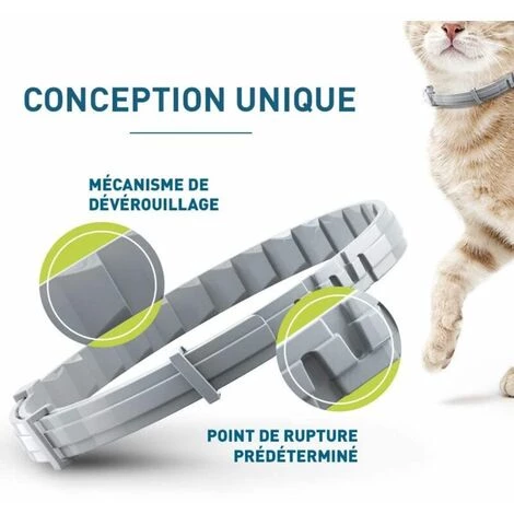 QERSTA Chien – Collier Anti-Puces Et Anti-Tiques Pour Petits Chiens - Moins De 8KG 4 QERSTA Chien – Collier Anti-Puces Et Anti-Tiques Pour Petits Chiens - Moins De 8KG – Image 4