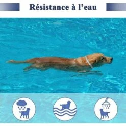 L'FLANEUR Collier Anti-puces Et Anti-tiques Pour Chien Et Chat,Traitement Anti Tique Et Puce, étanche Pour,Taille Réglable(62cm) ANEUR -Anti-puces, anti-parasitaires et soins pour chien Soldes 65361622 4