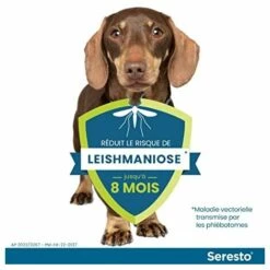 Collier Anti-Puces Et Anti-Tiques Pour Petits Chiens - Moins De 8KG，1 Colliers, BDD -Anti-puces, anti-parasitaires et soins pour chien Soldes 65374804 4