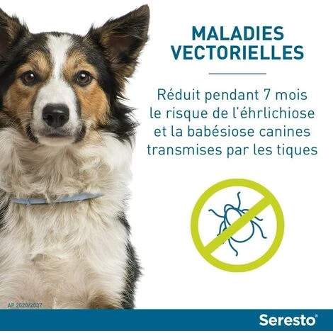 EINEMGELD Collier Anti-Puces Et Anti-Tiques Pour Petits Chiens - Moins De 8KG 5 EINEMGELD Collier Anti-Puces Et Anti-Tiques Pour Petits Chiens - Moins De 8KG – Image 5