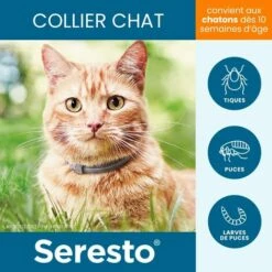 BF Chat –Colliers Anti-puces Et Anti-tiques Pour Chats–1 Colliers (mise à Niveau Avec Logo De Sécurité) -Anti-puces, anti-parasitaires et soins pour chien Soldes 65653402 5