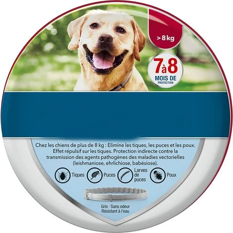 REGALI 2 Colliers-Chien – Collier Anti-Puces Et Anti-Tiques Pour Grands Chiens - 8KG Et Plus 1 REGALI 2 Colliers-Chien – Collier Anti-Puces Et Anti-Tiques Pour Grands Chiens - 8KG Et Plus