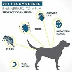 CSPARKV Collier Anti-puces Et Anti-tiques Pour Chiens, 8 Mois Collier Anti-puces Et Anti-tiques Pour Grands Chiens Chat 7 CSPARKV Collier Anti-puces Et Anti-tiques Pour Chiens, 8 Mois Collier Anti-puces Et Anti-tiques Pour Grands Chiens Chat -Anti-puces, anti-parasitaires et soins pour chien Soldes 65796512 3