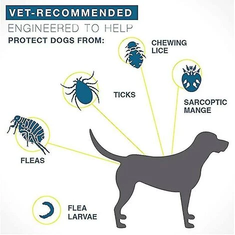 CSPARKV Collier Anti-puces Et Anti-tiques Pour Chiens, 8 Mois Collier Anti-puces Et Anti-tiques Pour Grands Chiens Chat 3 CSPARKV Collier Anti-puces Et Anti-tiques Pour Chiens, 8 Mois Collier Anti-puces Et Anti-tiques Pour Grands Chiens Chat – Image 3