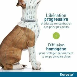 LINKLIFE™ Seresto Chien Collier Anti-Puces Et Anti-Tiques -8kg 2 Unités 6 LINKLIFE™ Seresto Chien Collier Anti-Puces Et Anti-Tiques -8kg 2 Unités -Anti-puces, anti-parasitaires et soins pour chien Soldes 65848820 3