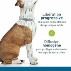 Colliers Pour Chiens - Colliers Anti-puces Et Anti-tiques, Plus De 8 Kg -version Européenne,BDD -Anti-puces, anti-parasitaires et soins pour chien Soldes 65974125 5
