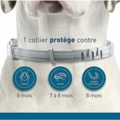 Anti-puces, anti-parasitaires et soins pour chien Soldes -Anti-puces, anti-parasitaires et soins pour chien Soldes 65974149 2