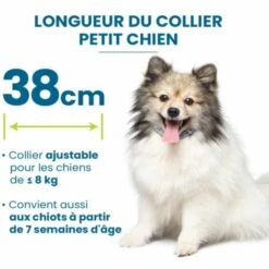 CESIèCLEFOU Chien – Collier Anti-Puces Et Anti-Tiques Pour Petits Chiens - Moins De 8KG Lefou -Anti-puces, anti-parasitaires et soins pour chien Soldes 66083735 4