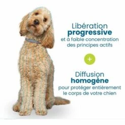 CESIèCLEFOU Chien – Collier Anti-Puces Et Anti-Tiques Pour Petits Chiens - Moins De 8KG Lefou -Anti-puces, anti-parasitaires et soins pour chien Soldes 66083735 5