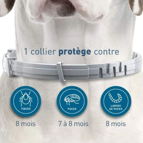 Chien – Collier Anti-Puces Et Anti-Tiques Pour Petits Chiens - Moins De 8KG, Adélala 2 Chien – Collier Anti-Puces Et Anti-Tiques Pour Petits Chiens - Moins De 8KG, Adélala – Image 2
