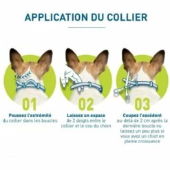 Chien – Collier Anti-Puces Et Anti-Tiques Pour Petits Chiens - Moins De 8KG, Adélala 7 Chien – Collier Anti-Puces Et Anti-Tiques Pour Petits Chiens - Moins De 8KG, Adélala -Anti-puces, anti-parasitaires et soins pour chien Soldes 66380911 3