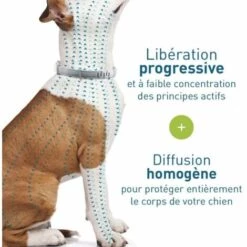 Chien – Collier Anti-Puces Et Anti-Tiques Pour Petits Chiens - Moins De 8KG, Adélala 9 Chien – Collier Anti-Puces Et Anti-Tiques Pour Petits Chiens - Moins De 8KG, Adélala -Anti-puces, anti-parasitaires et soins pour chien Soldes 66380911 5