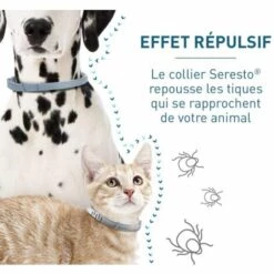 Collier Anti-Puces Et Anti-Tiques Pour Chats – 2 Colliers,Adélala -Anti-puces, anti-parasitaires et soins pour chien Soldes 66384096 5