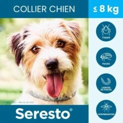 HEGUYEY 2X Ollier Naturel Antipuces Anti-Tiques - Grands Chiens, Résistant à L’Eau, Ajustable Et Naturel - Efficace Puces,Tiques. Jusqu'à 8 Mois De Protection - Antiparasitaire 9 HEGUYEY 2X Ollier Naturel Antipuces Anti-Tiques - Grands Chiens, Résistant à L’Eau, Ajustable Et Naturel - Efficace Puces,Tiques. Jusqu'à 8 Mois De Protection - Antiparasitaire -Anti-puces, anti-parasitaires et soins pour chien Soldes 66762876 5
