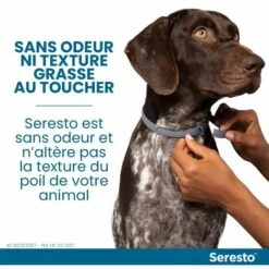 HEGUYEY Chien – Collier Anti-Puces Et Anti-Tiques Pour Petits Chiens - Moins De 8KG,2pc -Anti-puces, anti-parasitaires et soins pour chien Soldes 66762897 5