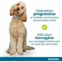 HEGUYEY 2X Collier Anti-Puces Et Anti-Tiques Pour Petits Chiens - Moins De 8KG -Anti-puces, anti-parasitaires et soins pour chien Soldes 66762902 3