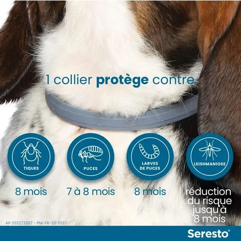 HEGUYEY Collier Réglable Anti-puces Et Tiques Pour Chiens - Imperméable - Protection Efficacité 8 Mois - Pour Petits Chiens - Moins De 8KG 2 HEGUYEY Collier Réglable Anti-puces Et Tiques Pour Chiens - Imperméable - Protection Efficacité 8 Mois - Pour Petits Chiens - Moins De 8KG – Image 2