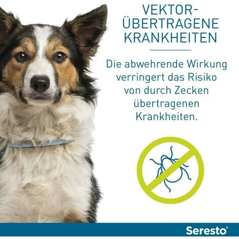 HEGUYEY Collier Pour Petits Chiens : 8 Mois De Protection Efficace Contre Les Tiques Et Les Puces 4 HEGUYEY Collier Pour Petits Chiens : 8 Mois De Protection Efficace Contre Les Tiques Et Les Puces – Image 4