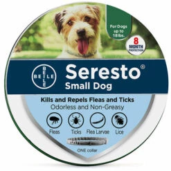 HEGUYEY Collier Pour Petits Chiens : Protection Efficace Contre Les Tiques Et Les Puces Pendant 7 à 8 Mois, Longueur 38 Cm