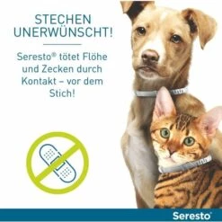 HEGUYEY Collier Pour Petits Chiens : Protection Efficace Contre Les Tiques Et Les Puces Pendant 7 à 8 Mois, Longueur 38 Cm -Anti-puces, anti-parasitaires et soins pour chien Soldes 66817858 4