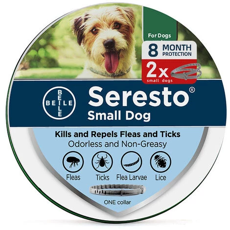 HEGUYEY Collier De Protection Contre Les Tiques Et Les Puces Pour Chien - Jusqu'à 8 Mois De Protection Durable à Long Terme - Actif Naturel Contre Les Tiques Et Les Puces 1 HEGUYEY Collier De Protection Contre Les Tiques Et Les Puces Pour Chien - Jusqu'à 8 Mois De Protection Durable à Long Terme - Actif Naturel Contre Les Tiques Et Les Puces
