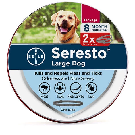 HEGUYEY Collier Anti-tiques Pour Chiens - Protection Efficace Contre La Vermine - étanche Et Réglable - Jusqu'à 8 Mois De Protection Contre Les Tiques Avec Des Ingrédients 100% Naturels 1 HEGUYEY Collier Anti-tiques Pour Chiens - Protection Efficace Contre La Vermine - étanche Et Réglable - Jusqu'à 8 Mois De Protection Contre Les Tiques Avec Des Ingrédients 100% Naturels