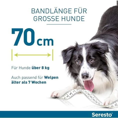 HEGUYEY Collier Anti-tiques Pour Chiens - Protection Efficace Contre La Vermine - étanche Et Réglable - Jusqu'à 8 Mois De Protection Contre Les Tiques Avec Des Ingrédients 100% Naturels 4 HEGUYEY Collier Anti-tiques Pour Chiens - Protection Efficace Contre La Vermine - étanche Et Réglable - Jusqu'à 8 Mois De Protection Contre Les Tiques Avec Des Ingrédients 100% Naturels – Image 4
