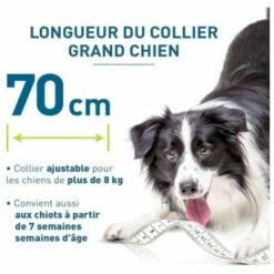 YIENJAOY Collier Anti-puces Et Antiparasitaire Pour Chien , AGILITY GU.B/bon Chien – Collier Anti-Puces Et Anti-Tiques Pour Grands Chiens - 8KG Et Plus -Anti-puces, anti-parasitaires et soins pour chien Soldes 67145349 4