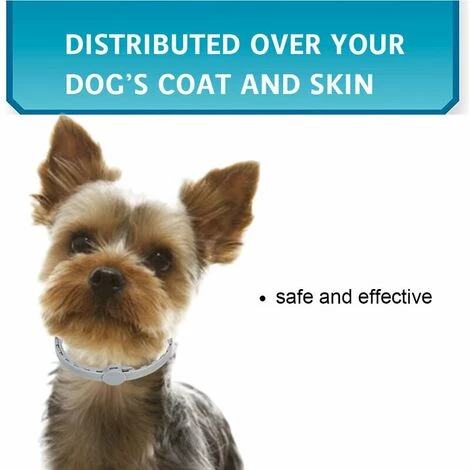 CSPARKV Colliers Pour Chiens Collier Anti-puces Et Anti-tiques Pour Chien Traitement Prévention Huile Essentielle Naturelle Réglable Protection étanche Collier Répulsif Pour Chien De Compagnie Répulsif Naturel Contre Les Insectes Huile Essentielle Élimination Des 4 CSPARKV Colliers Pour Chiens Collier Anti-puces Et Anti-tiques Pour Chien Traitement Prévention Huile Essentielle Naturelle Réglable Protection étanche Collier Répulsif Pour Chien De Compagnie Répulsif Naturel Contre Les Insectes Huile Essentielle Élimination Des – Image 4