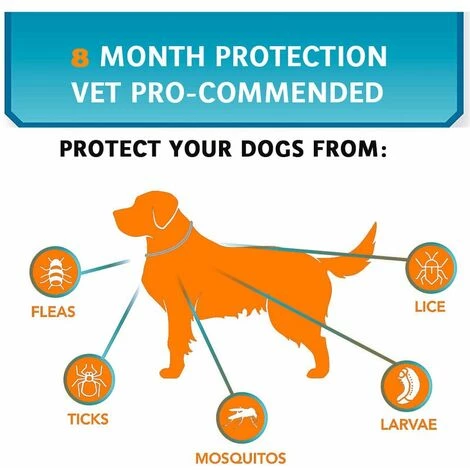 CSPARKV Colliers Pour Chiens Collier Anti-puces Et Anti-tiques Pour Chien Traitement Prévention Huile Essentielle Naturelle Réglable Protection étanche Collier Répulsif Pour Chien De Compagnie Répulsif Naturel Contre Les Insectes Huile Essentielle Élimination Des 5 CSPARKV Colliers Pour Chiens Collier Anti-puces Et Anti-tiques Pour Chien Traitement Prévention Huile Essentielle Naturelle Réglable Protection étanche Collier Répulsif Pour Chien De Compagnie Répulsif Naturel Contre Les Insectes Huile Essentielle Élimination Des – Image 5