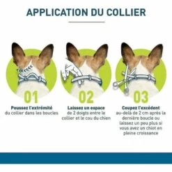 BF Collier Français Anti-puces Et Anti-tiques Pour Grands Chiens - 8 Kg Et Plus -Anti-puces, anti-parasitaires et soins pour chien Soldes 67417273 3