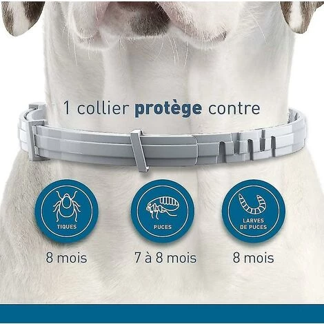 BF Rainbow - Colliers Pour Chien Lot De 2 Colliers Anti-puces Et Anti-tiques Pour Chiens (petits Chiens De Moins De 8 Kg) Colliers Anti-insectes Et Anti-puces 2 BF Rainbow - Colliers Pour Chien Lot De 2 Colliers Anti-puces Et Anti-tiques Pour Chiens (petits Chiens De Moins De 8 Kg) Colliers Anti-insectes Et Anti-puces – Image 2
