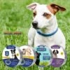PERLE RARE Collier Vermifuge Pour Chien Collier Anti-puces Collier De Chat Réglable Collier De Chien Ensemble De 4 Pièces