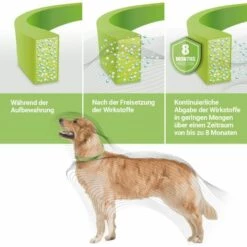 PERLE RARE Collier Vermifuge Pour Chien Collier Anti-puces Collier De Chat Réglable Collier De Chien Ensemble De 4 Pièces -Anti-puces, anti-parasitaires et soins pour chien Soldes 67717394 5