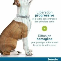 Ensoleillé Chien – Colliers Anti-Puces Et Anti-Tiques Pour Grands Chiens – Plus De 8 Kg –Lilaris 2 Colliers 7 Ensoleillé Chien – Colliers Anti-Puces Et Anti-Tiques Pour Grands Chiens – Plus De 8 Kg –Lilaris 2 Colliers -Anti-puces, anti-parasitaires et soins pour chien Soldes 67914644 3