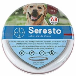 QERSTA Collier Anti-puces Et Tiques Pour Chien, Collier Anti-Tiques Pour Chats - 8 Mois De Prévention Contre Les Puces, Collier Vermifuge Pour Animaux De Compagnie, Réglable Et Imperméable