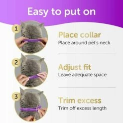 GRID COOL Collier Anti-Puces Et Anti-Tiques Pour Chats – 2 Colliers -Anti-puces, anti-parasitaires et soins pour chien Soldes 68075034 5