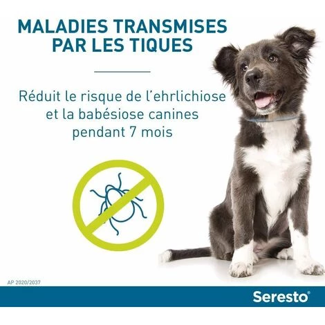 OCXIN Colliers Anti-puces Et Anti-tiques Pour Petits Chiens – Moins De 8 Kg – 2 Colliers 3 OCXIN Colliers Anti-puces Et Anti-tiques Pour Petits Chiens – Moins De 8 Kg – 2 Colliers – Image 3