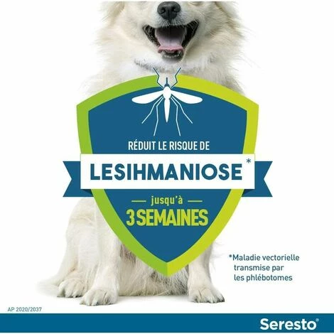 LLOVE Collier Anti-Puces Et Anti-Tiques Pour Petits Chiens - Moins De 8KG 3 LLOVE Collier Anti-Puces Et Anti-Tiques Pour Petits Chiens - Moins De 8KG – Image 3